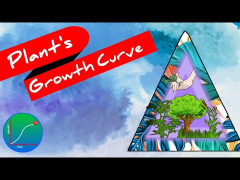 growth curve of Plant ।। Plant's growth curve.. #ecohill #growth_curve