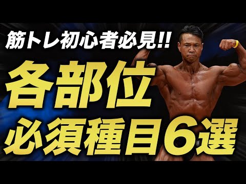 【筋トレ初心者必見!!】ジュラシック木澤が選ぶ！各部位の必須種目6選！