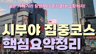 도쿄여행🗼시부야 핵심명소 집중코스 | 돈키호테 가성비 꿀템 소개 | JONETZ