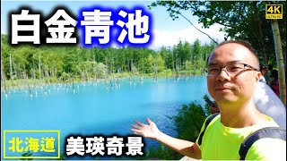 ★日本旅遊EP.2★人生必訪世界奇景【美瑛白金青い池】～瑪瑙碧綠仙境青池，絕美景致造訪需碰運氣，北海道必去的【美瑛町】乾淨整齊的歐風小鎮，在日本漫畫中會出現的幽靜城鎮與復古風美瑛車站，我們一次全開箱！