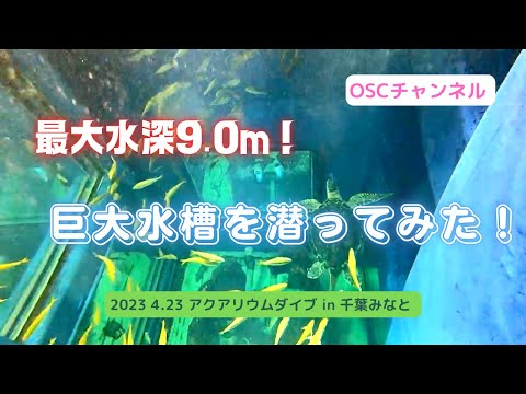 最大水深9.0m！水族館のような巨大水槽を潜ってみた！スノーケリング（シュノーケリング）＆スキンダイビング！アクアリウムダイブ in 千葉みなと♪