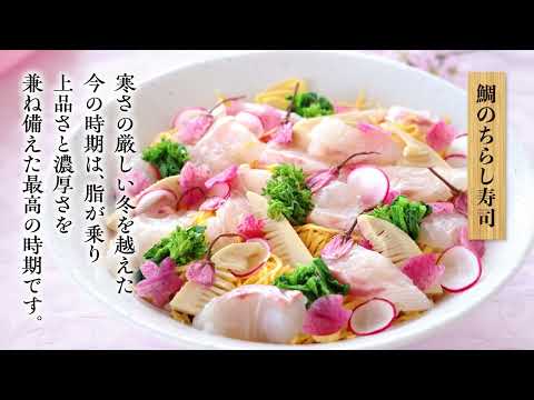 今が旬「もっちり真鯛」