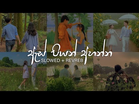 ඇස් පියන් අහන්න ❤️🥺 (slowed + reverb) best songs collection | MR DEZTER