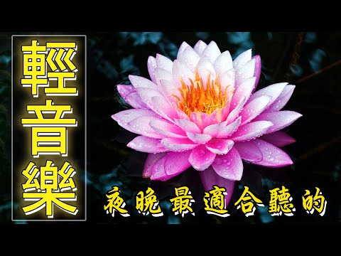 【薩克斯風 睡眠】🎷30首 薩克斯風 輕音樂 放鬆解壓 🌺 夜晚最適合聽的 轻音乐 放松🎵 累了煩了就聽聽 醉人醉心！ 無廣告音樂  Relaxing Chinese Saxaphone Music