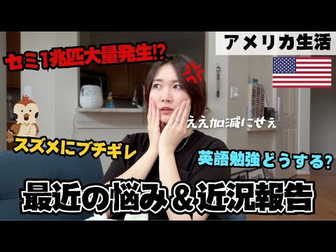 【悩み】家を追い出されるかもしれません【アメリカ生活】