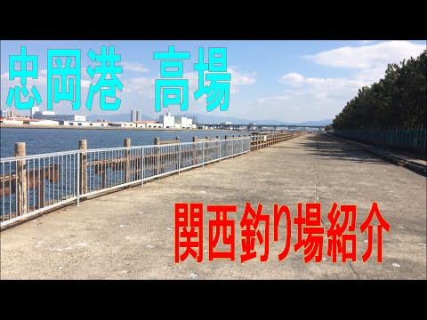 忠岡港 高場