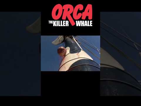 #orca #killerwhales #ocean #movie #film #trend #trending #shorts #short #shortvideo foetus scene