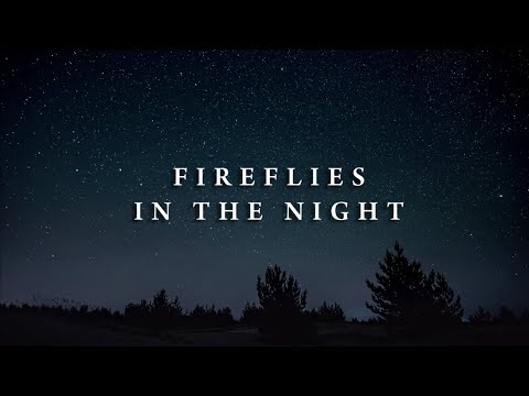 Fireflies In The Night