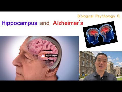 (Eng) Biological Psychology 08: Hippocampus and Alzheimer's #hippocampus #alzheimer #dementia