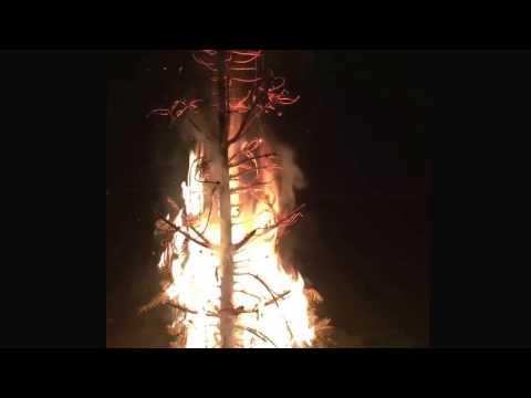 11.02.2017 traditionelle Weihnachtsbaum-Verbrennung / burning christmastree / miracle (not owner)