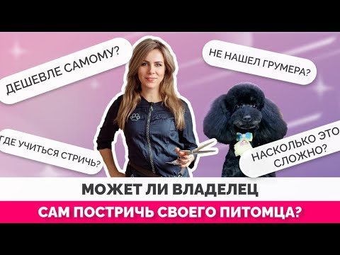 Может ли владелец стричь свою собаку сам? К чему готовится?