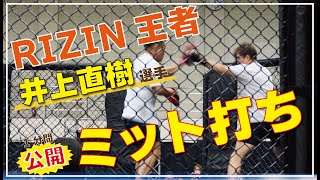 【代表も称賛】RIZIN王者井上直樹が魅せる1分間圧巻ミット打ち