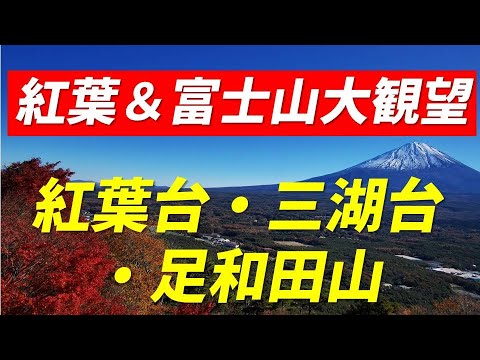 【山梨百名山 足和田山・紅葉台・三湖台】富士山・富士五湖・青木ヶ原樹海の紅葉と大観望 南アルプスの眺望 4K映像