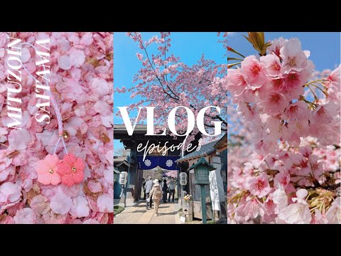 VLOG #3 東京近郊旅行 | 琦玉縣 密藏院 | 安行櫻 | 秘密櫻道  | 2022年花見系列