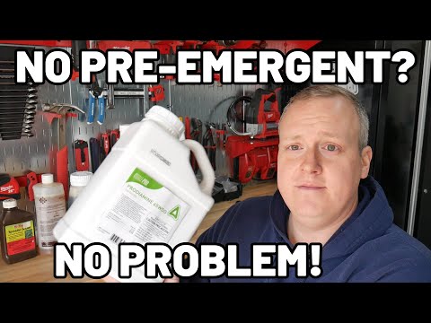 What To Do When You Miss A Pre-Emergent Application