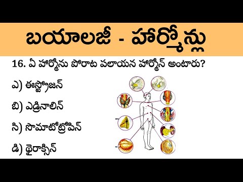 జీవశాస్త్రం - హార్మోన్లు | Biology practice bits in telugu | general science bit bank in telugu