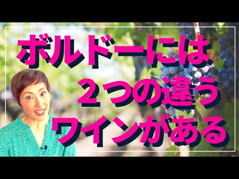 ボルドー左岸と右岸の違いって、解ってボルドー飲んでますか？購入前にチェック