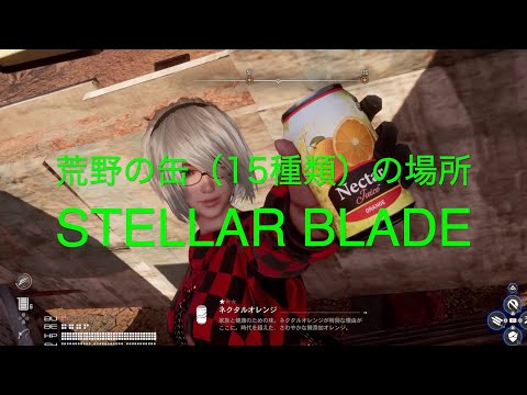 荒野の缶（15種類）の場所【STELLAR BLADE PS5】