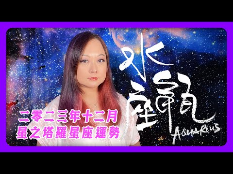 水瓶♒️12月運程🔮塔羅占卜／工作內在👩🏼‍💻 ／工作對外🧳／轉工中✍🏼 /戀愛中💗／婚姻中👰🏼‍♀️🤵🏼/單身曖昧中💞／初相識💕／沒對象 💝