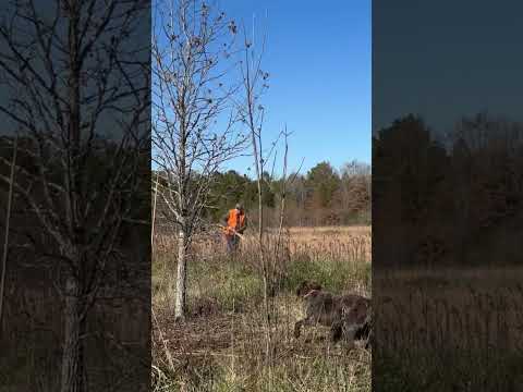 When dad wants to hunt but you want to play baseball you compromise