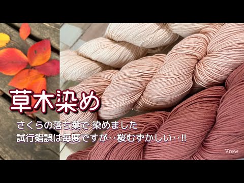 78.【草木染め】さくらの落ち葉で染めました。試行錯誤は毎度ですが、桜むずかしい‥‼︎│台所染色│刺し子糸コットンの染め物│字幕あり