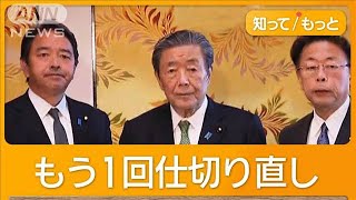 「178万円」目指し協議継続で合意　与党と国民民主、駆け引き続く【知ってもっと】【グッド！モーニング】(2024年12月21日)