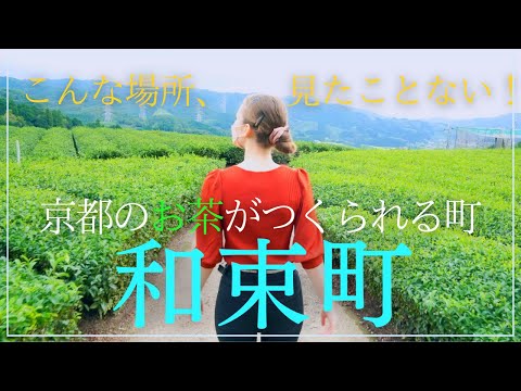 【大人の京都旅】外国人の私が京都のお茶が作られる町「和束町」で、日本のお茶がどのように作られているのか観てきました！