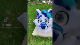 BEST Furry TikToks compilation 0546 #shorts #furrytiktok #furry  #funnyvideo  #youtube   #furries