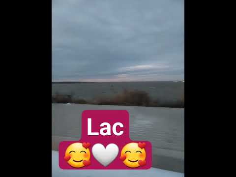 lac #lac #shorts #short #lacewigs #lachen #lachlan #beautiful #lacultasaul #navodari ♥️♥️♥️♥️♥️♥️♥️