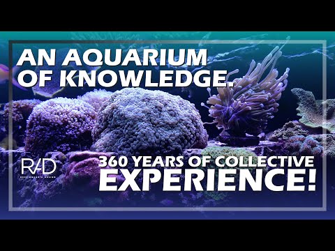 AN AQUARIUM OF KNOWLEDGE. 360 YEARS OF COLLECTIVE EXPERIENCE UNDER THE REEF AQUARIA DESIGN ROOF.