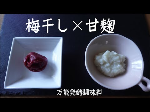 甘麹✖️梅干し　甘い、塩っぱい、酸っぱいが絶妙な万能発酵調味料（前編）