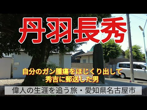 【丹羽長秀】自分のガン腫瘍をほじくり出して、秀吉に郵送した男