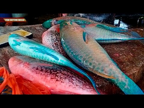 Amazing Fish Cutting Skills l Japanese Street Food l Giant Parrotfish Sashimi Okinawa Japan