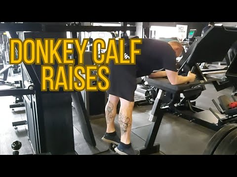 Donkey Calf Raises /Gladiator Training Program