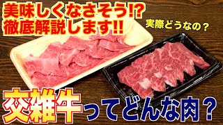 交雑牛ってどうなの？焼肉屋目線で解説します！！