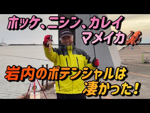 凄いぞ！岩内のポテンシャル！色んな魚が釣れちゃいます！