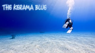 奇跡の青。慶良間諸島・渡嘉敷島ダイビングHD動画。Diving in kerama