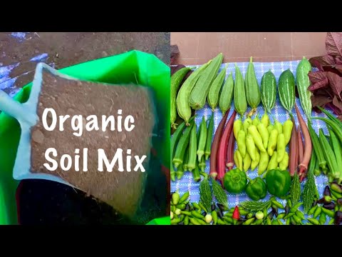 How To Prepare Healthy And Perfect Soil For Summer Garden // Best Soil Mix Preparation