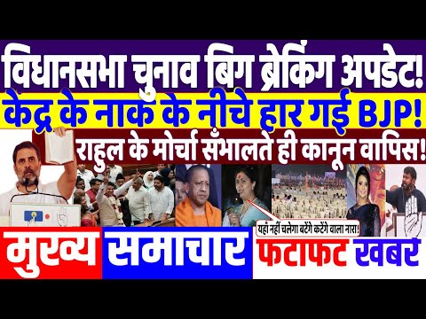 UP BY ELECTION 2024: केंद्र के नाक के नीचे भी हार गई BJP ! modi news, JMM, akhilesh, tejashwi