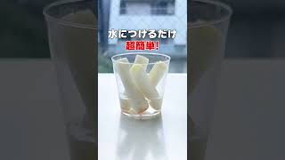 白ネギが無限に！？白ネギ再生栽培！#shorts