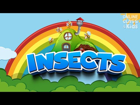 Insects | Name of Insects | Kids Vocabulary Bugs |Learn English for Kids - English Educational Video