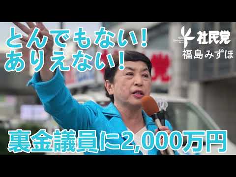 #裏金議員 に2,000万円！自民党政治はもう終わり！#衆院選 でNO!!を示そう！#社民党 #比例区は社民党 #福島みずほ #衆院選総選挙 #社民党がいます #軍拡反対 #子どもたちに予算を