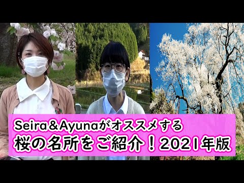 Seira＆Ayunaがオススメする 桜の名所をご紹介！2021年版