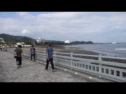 宮崎縣通往青島神社的橋