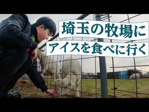 【加藤牧場Baffi】埼玉にある牧場へジェラートを食べにいってきた