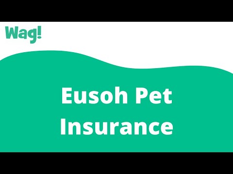 Eusoh Pet Insurance | Wag!