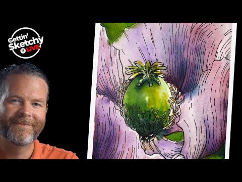 Live Drawing Exercise - Poppy Flower with Pen and Ink and Watercolor Markers