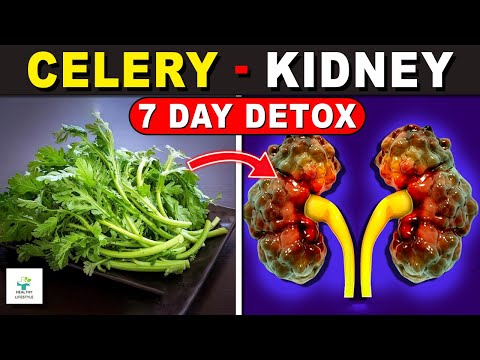 👉Just 4 Best Natural Herbs for Your Kidneys to Avoid Dialysis - Healthy lifestyle