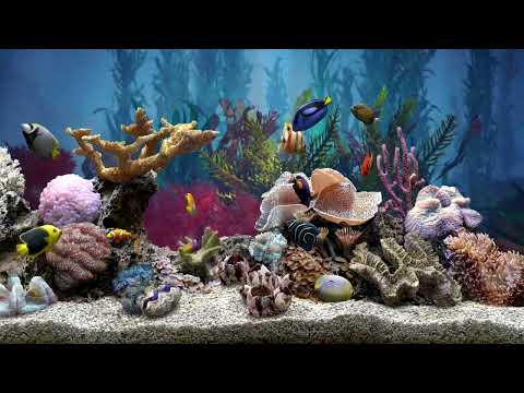 Very Relaxing Fish Tank Aquarium With Water Sound For Focus | No Music | HD