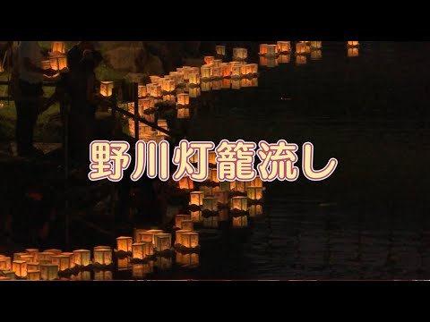 野川灯籠流し(2024年7月5日号)